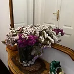 Hisa 7 Apartament